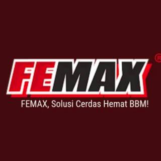 Logo FEMAX